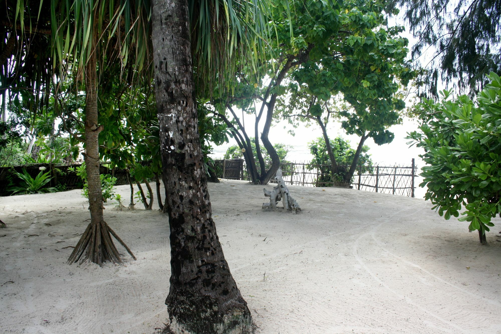 Kimte Beach Lodge Jambiani  Exterior foto